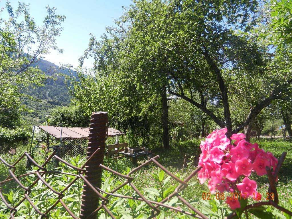 Marina Chartolani'S Guest House Mestia Bagian luar foto