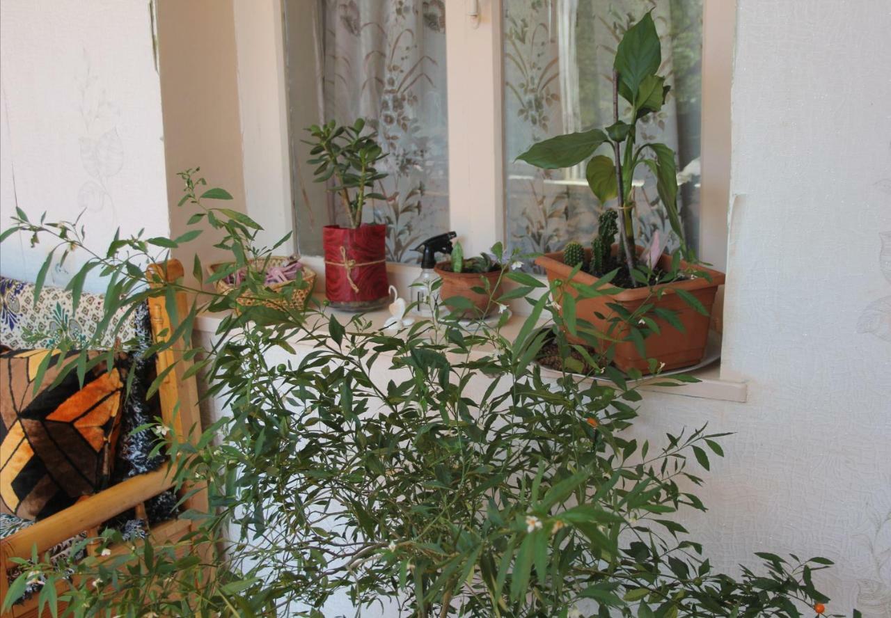 Marina Chartolani'S Guest House Mestia Bagian luar foto